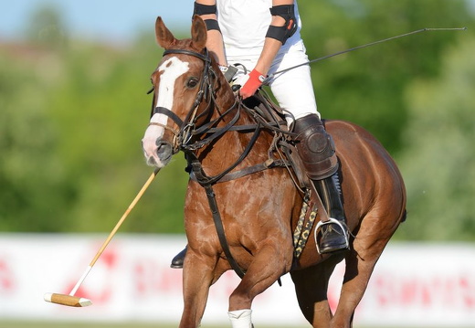 Equitazione